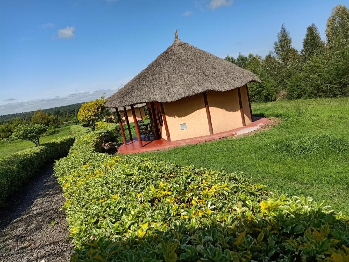 נאניוקי The Great Circle Lodge מראה חיצוני תמונה