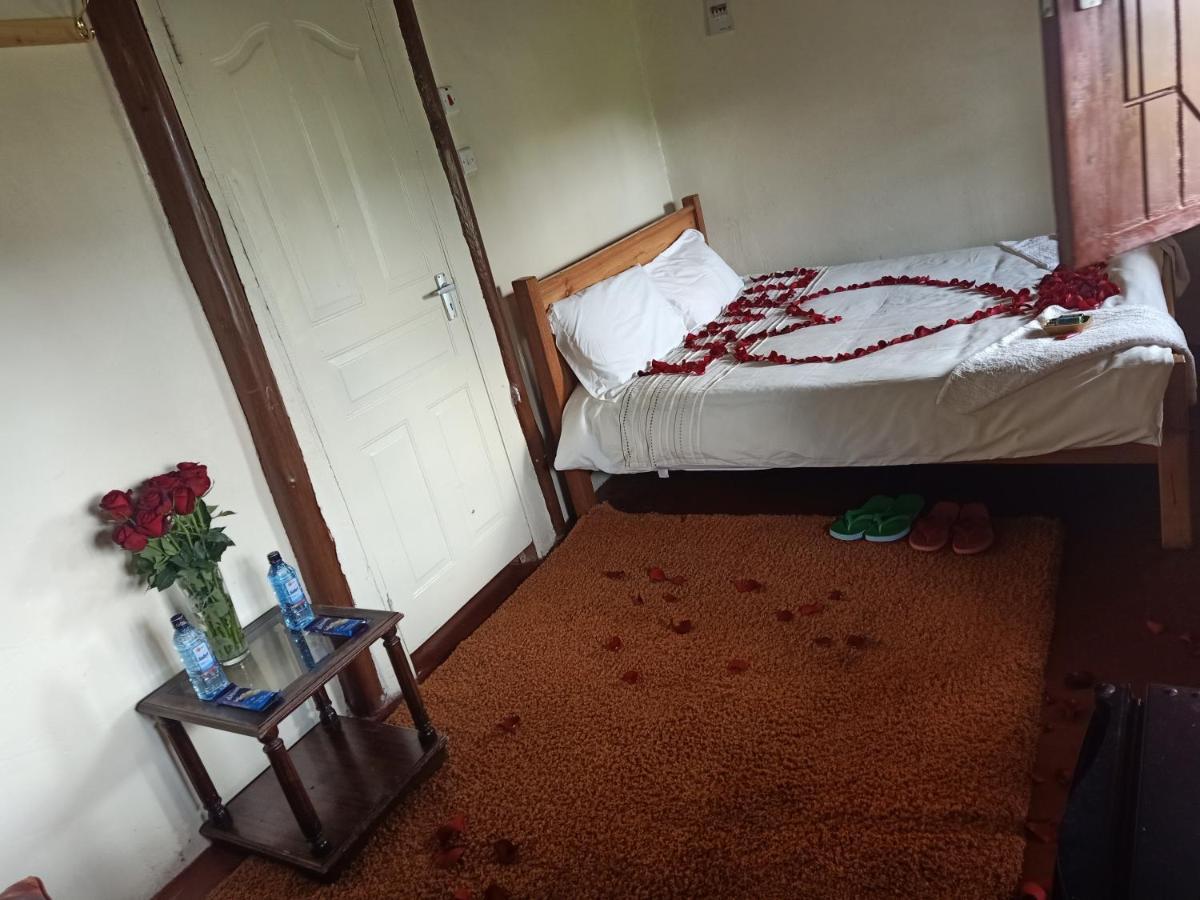 נאניוקי The Great Circle Lodge מראה חיצוני תמונה
