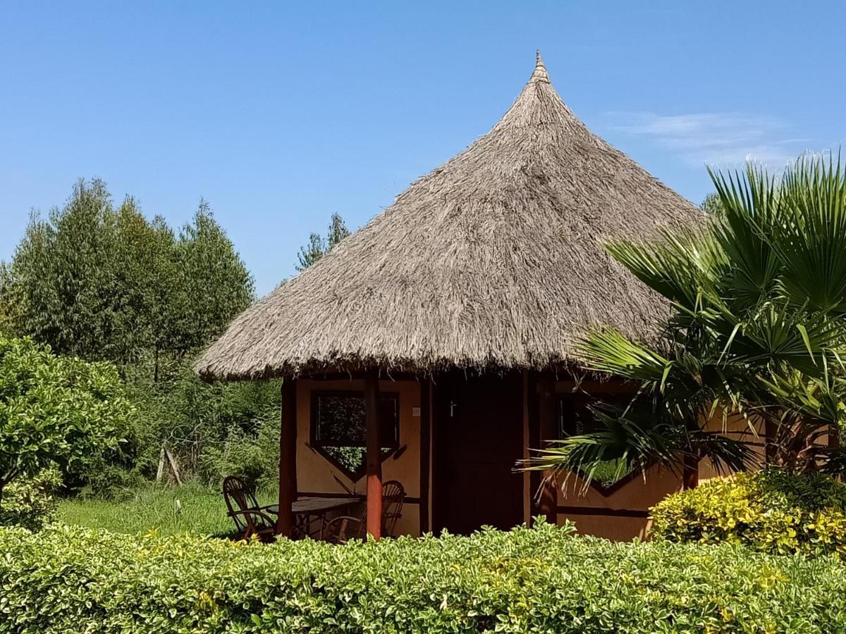 נאניוקי The Great Circle Lodge מראה חיצוני תמונה