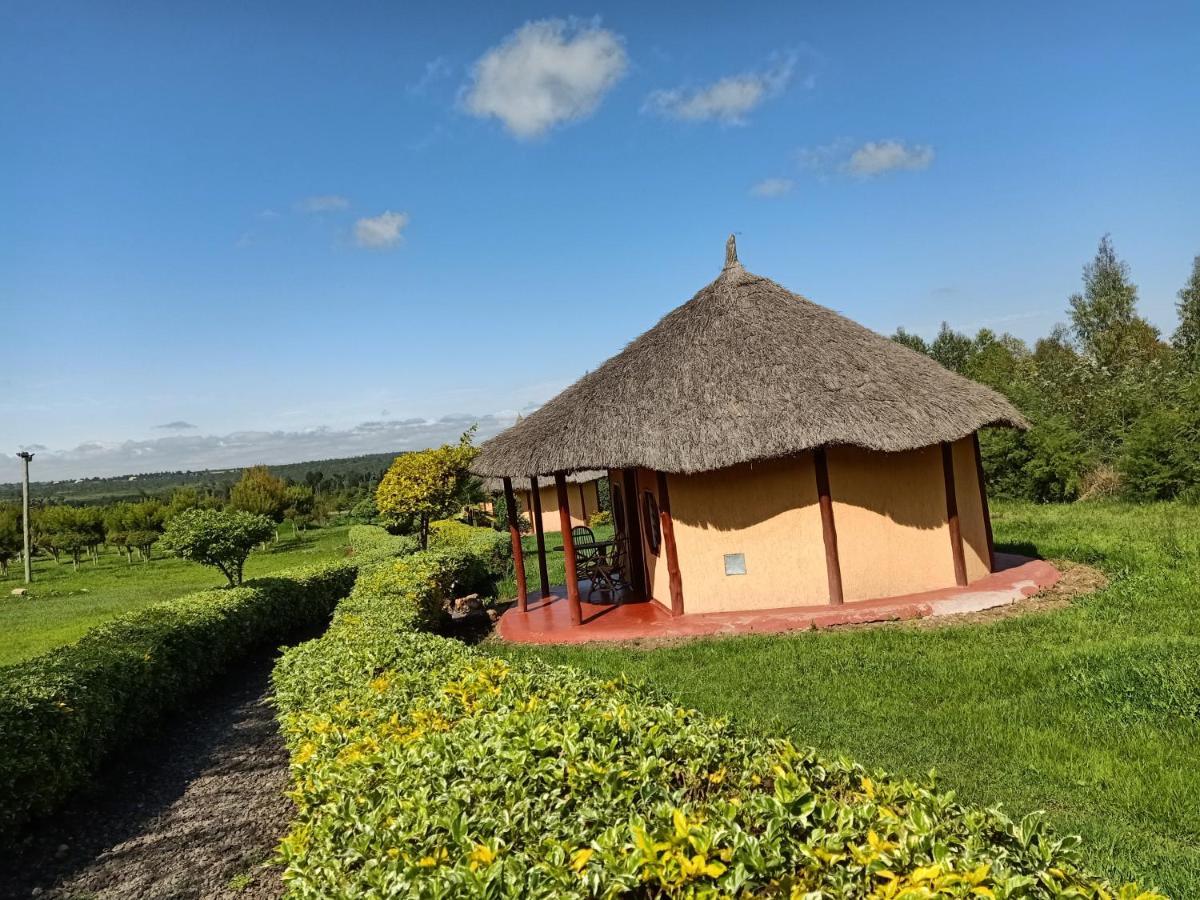 נאניוקי The Great Circle Lodge מראה חיצוני תמונה