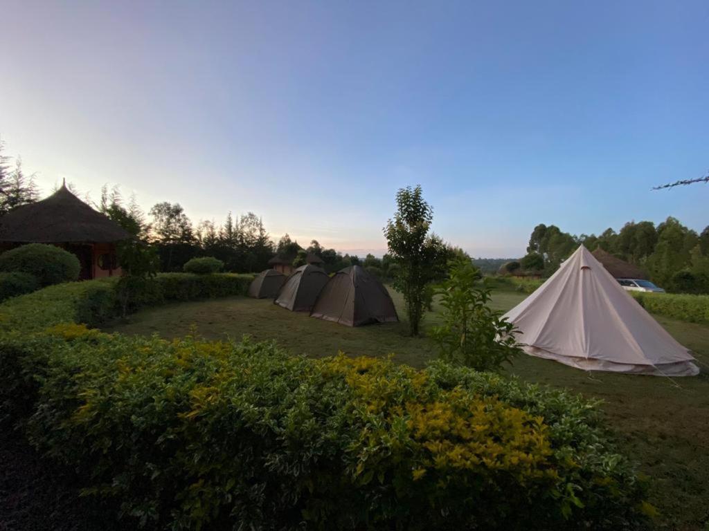 נאניוקי The Great Circle Lodge מראה חיצוני תמונה