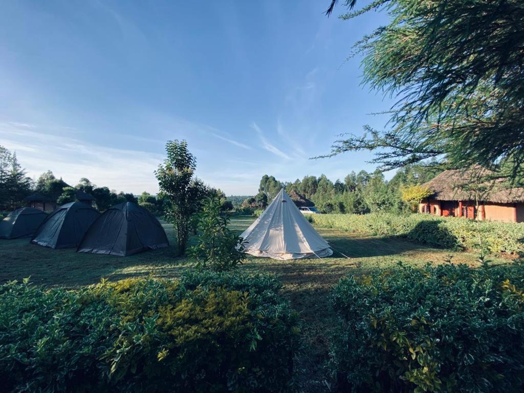 נאניוקי The Great Circle Lodge מראה חיצוני תמונה
