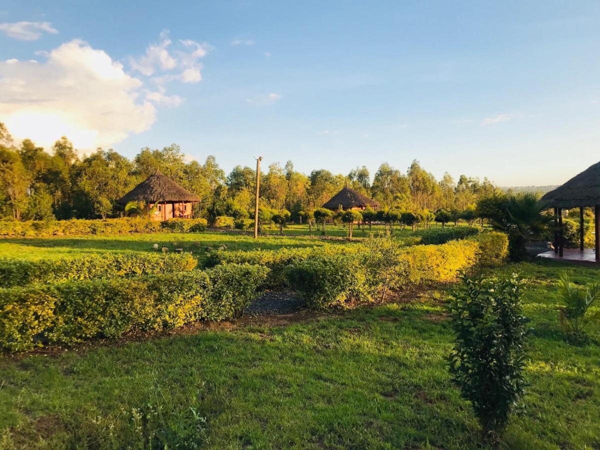 נאניוקי The Great Circle Lodge מראה חיצוני תמונה