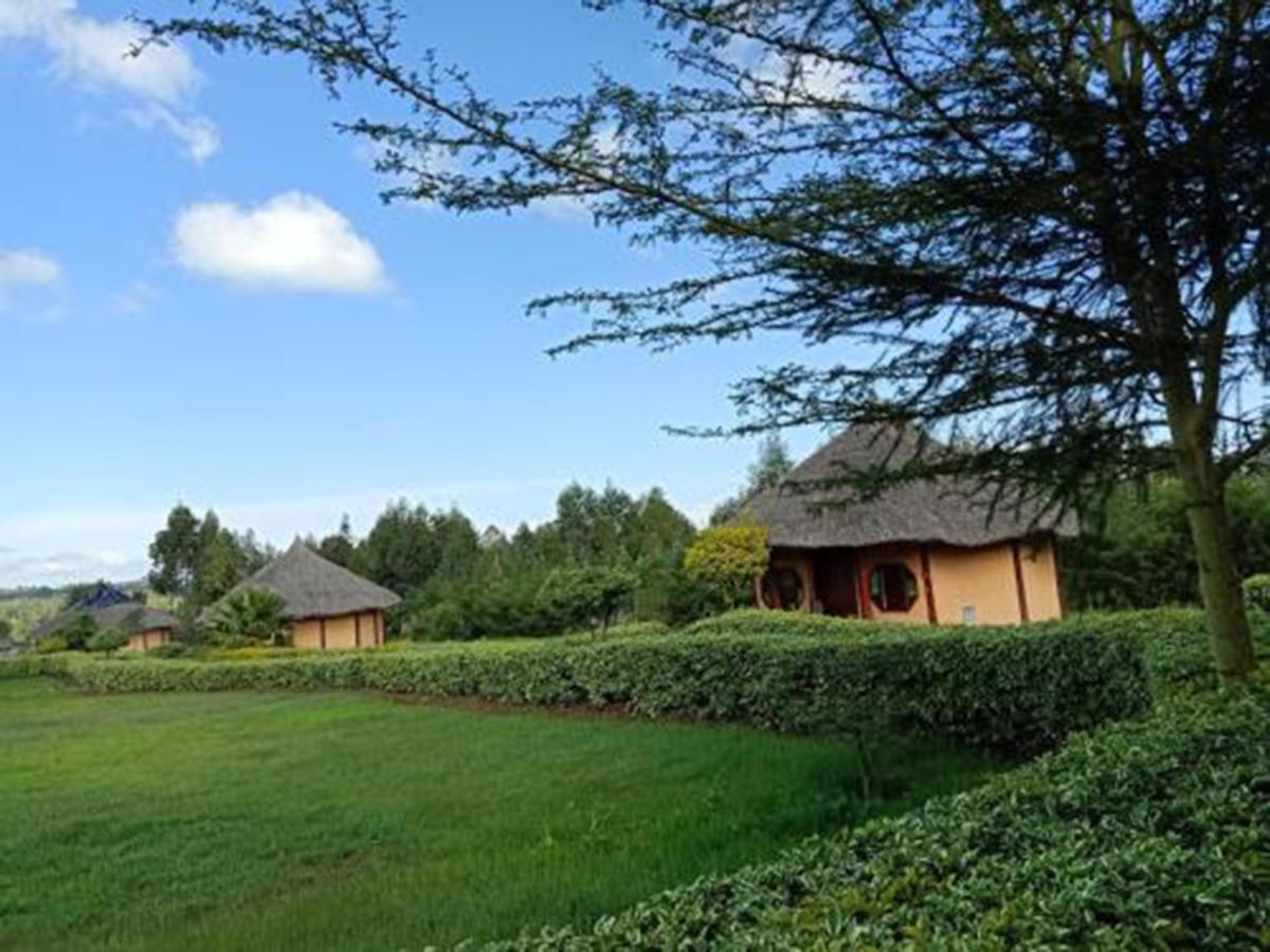 נאניוקי The Great Circle Lodge מראה חיצוני תמונה